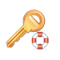 Lost License Key
